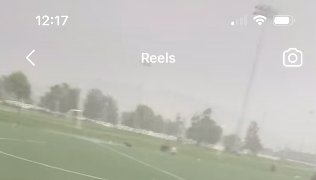 Foggy green soccer field with white lines, surrounded by trees and tall light poles under an overcast sky.