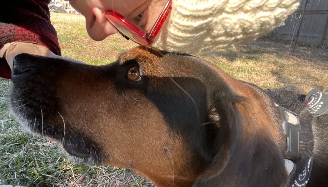 A person with red glasses rests their forehead against a brown dog's head in a tender moment outdoors.