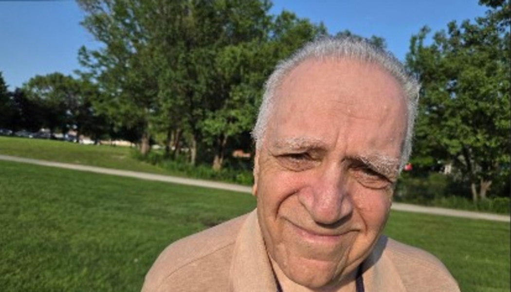 Close-up portrait of a senior man with grey hair smiling gently outdoors in a green park.
