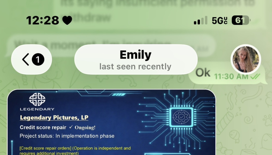 Chat screenshot showing a Legendary Pictures, LP project card with ongoing credit score repair status.