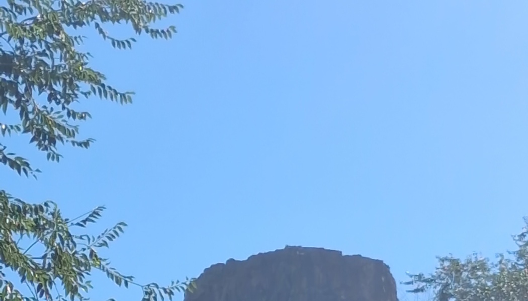 Green leafy tree branches framing a dark rocky hill peak against a clear blue sky.