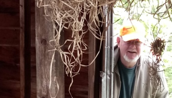 Smiling man with a white beard and orange cap peeking through a wooden doorway with hanging straw.