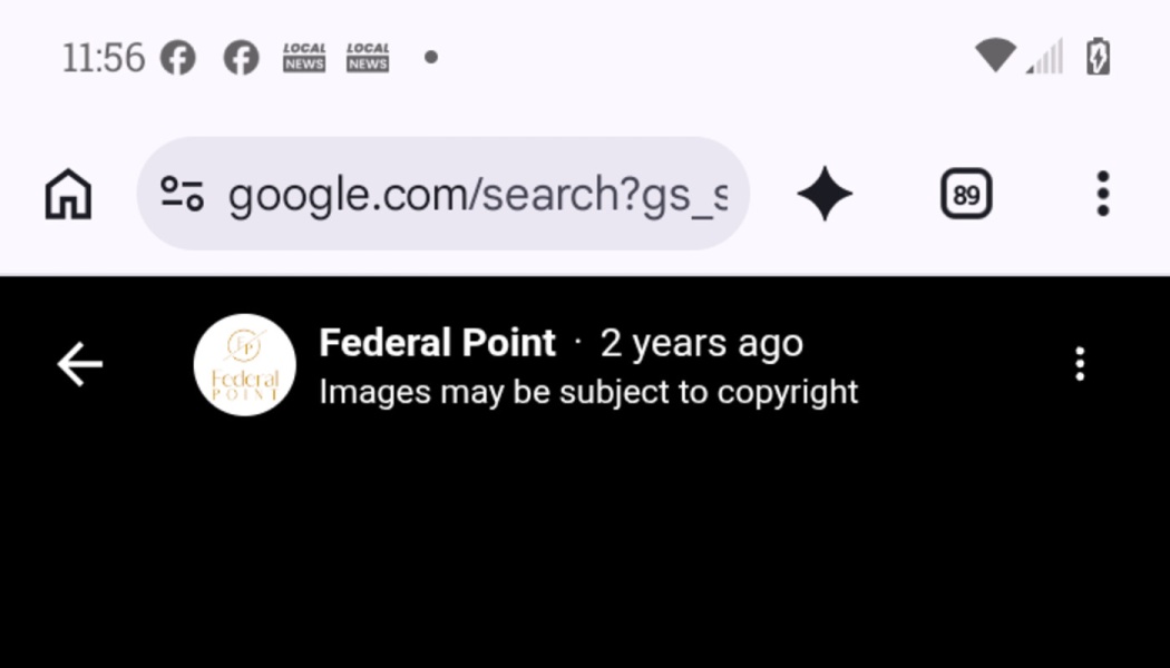 Smartphone screen displaying a Google search header and a Federal Point notice stating images may be subject to copyright.