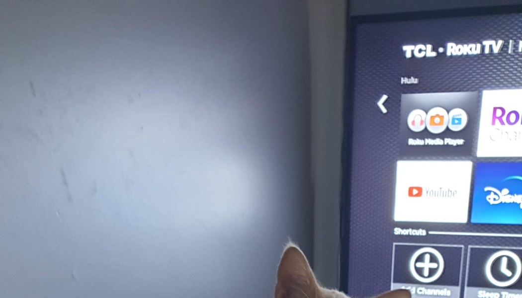 The top of a cat's head and ears peeking up in front of a Roku TV screen displaying streaming app icons.