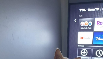 The top of a cat's head and ears peeking up in front of a Roku TV screen displaying streaming app icons.