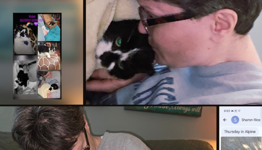 A person with glasses lovingly cuddles a black and white cat, shown alongside a photo collage of the cat.