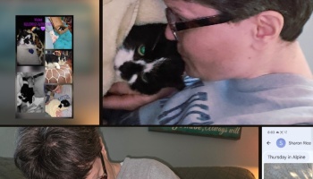 A person with glasses lovingly cuddles a black and white cat, shown alongside a photo collage of the cat.