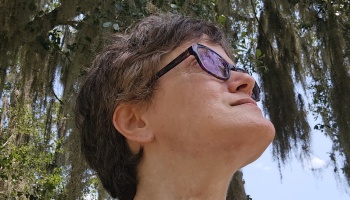 A person with short hair and purple glasses looks up toward the sky beneath trees draped in Spanish moss.
