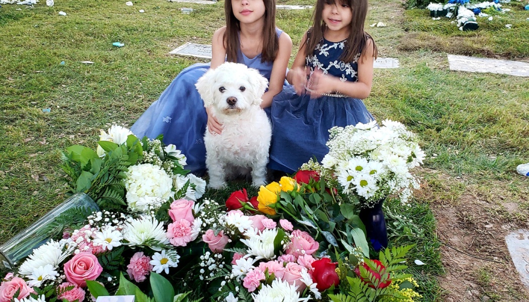 Two young girls in blue dresses and a small white dog sit on grass surrounded by colorful floral arrangements.