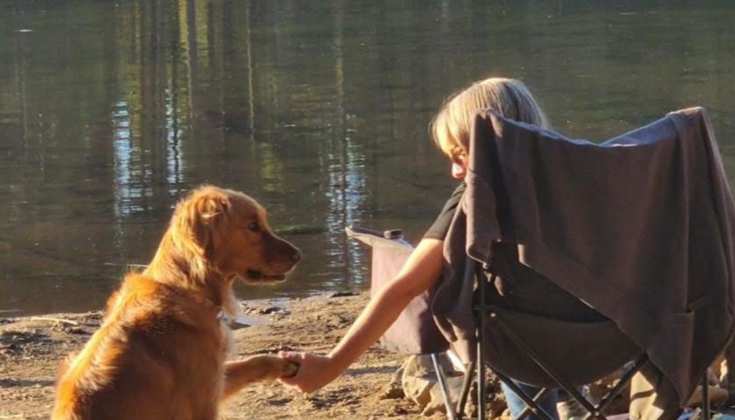 A woman sitting in a camp chair holds paws with her golden retriever on a sunny lakeside shore.