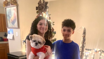 A smiling girl holding a small dog in a red sweater stands beside a boy in a blue shirt in front of a holiday tree.