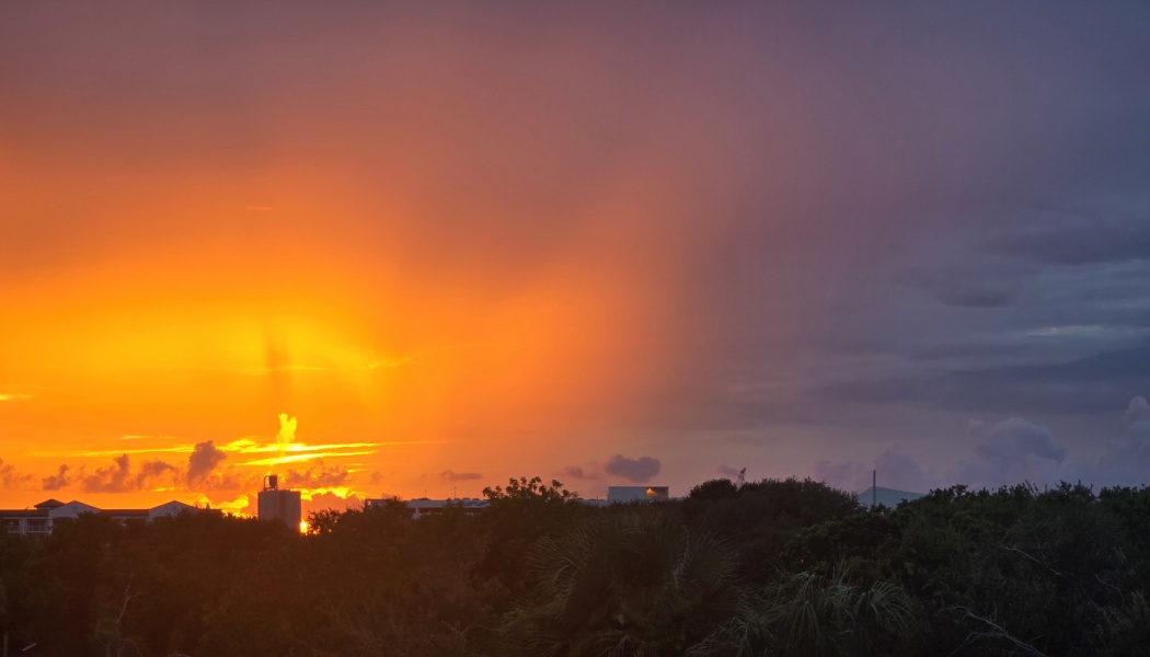 Vibrant orange sunset glowing behind dark silhouetted trees and buildings under a dusky purple sky.