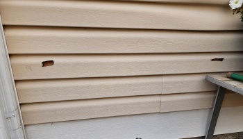 Damaged beige vinyl house siding with two small holes exposing the wall underneath.