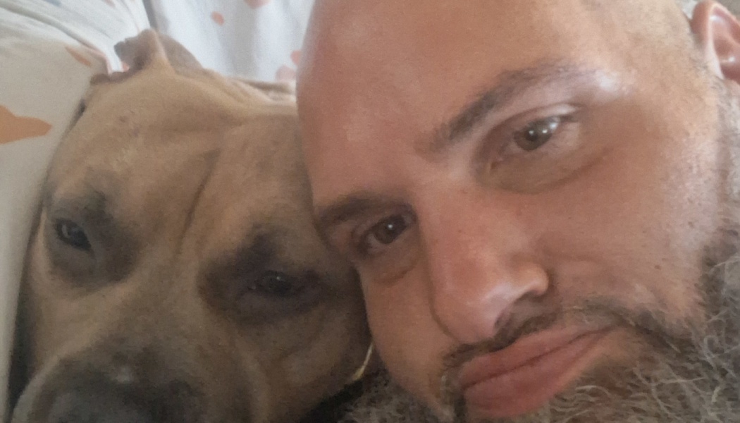 A bald, bearded man resting cheek-to-cheek with a tan pit bull in bed.