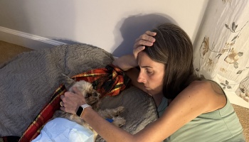 A worried woman holds her head while gently petting a small, sick dog lying on a plush dog bed.
