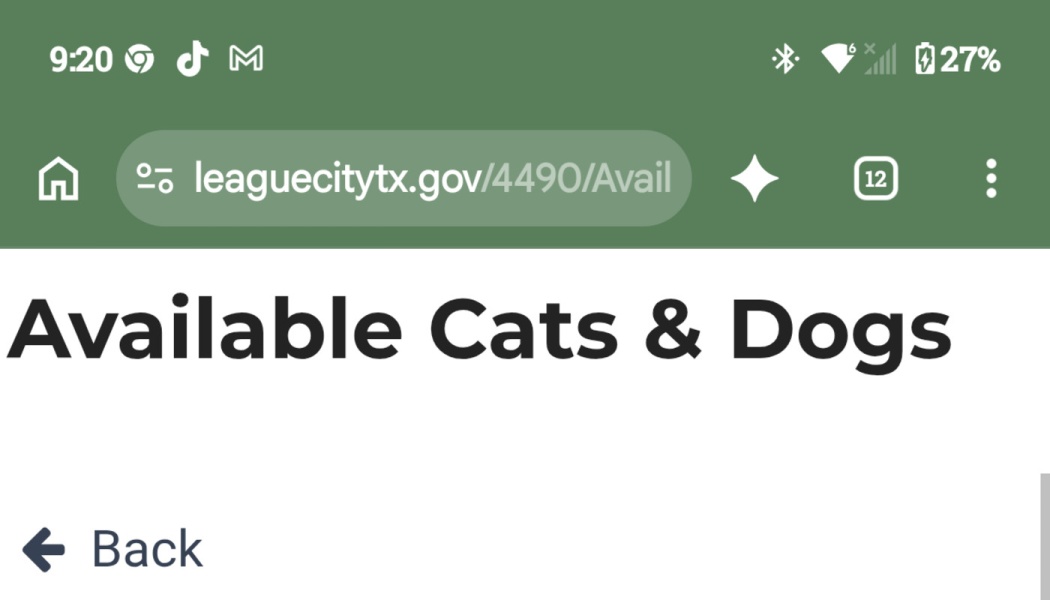 Mobile web browser displaying the heading 'Available Cats & Dogs' on leaguecitytx.gov.