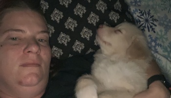 A person lying in bed next to a small fluffy puppy sleeping peacefully beside them.