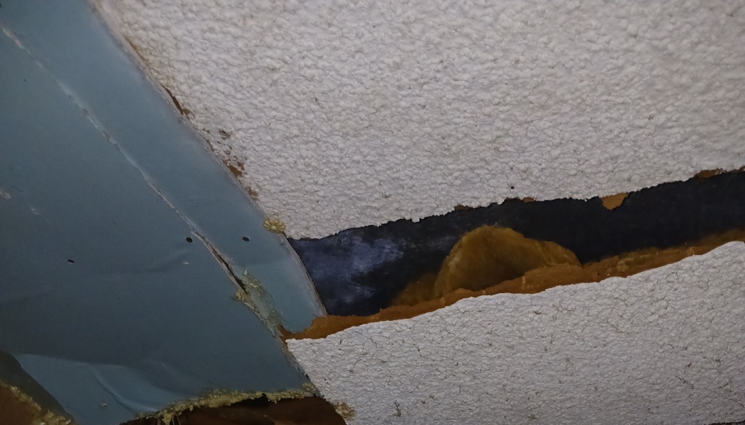 Damaged popcorn ceiling torn open, exposing dark mold and brown insulation underneath.