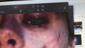 A computer monitor displaying a zoomed-in photo of a person's face inside an image viewer application.