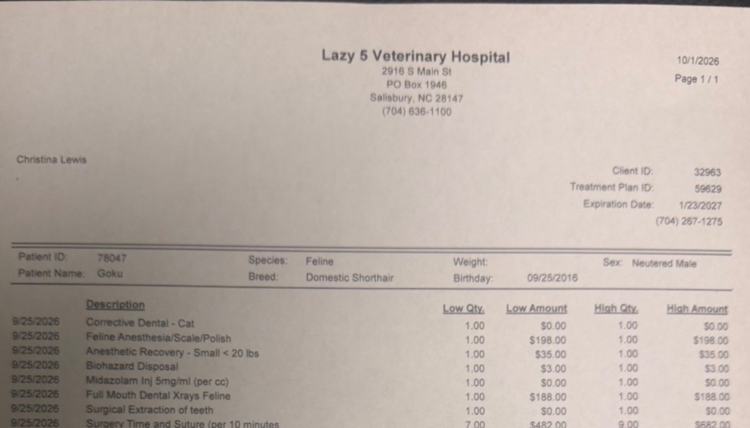 Itemized veterinary estimate from Lazy 5 Veterinary Hospital for dental surgery for a cat named Goku.