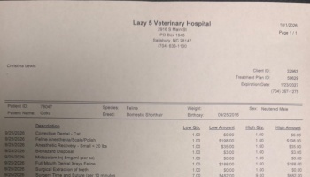 Itemized veterinary estimate from Lazy 5 Veterinary Hospital for dental surgery for a cat named Goku.