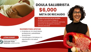 Crowdfunding graphic for Doula Salubrista with a $6,000 goal, featuring a pregnant belly and a smiling doula.