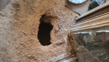A large hole chewed through a wooden floor surrounded by sawdust, showing severe structural damage.