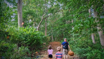 A man and two young children walk down a dirt path in a dense green forest as leaves fall around them.