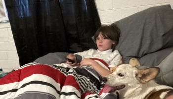 A young child lies in bed holding a remote control under a striped blanket, next to a happy, panting dog.