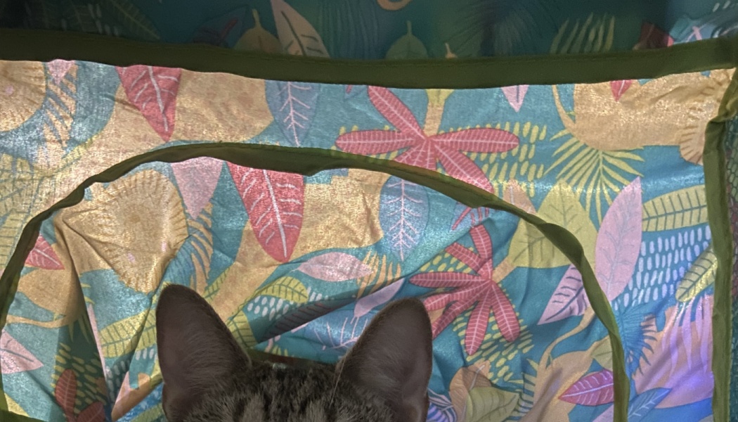 Tabby cat ears peeking out from inside a colorful tropical leaf-patterned play tent.
