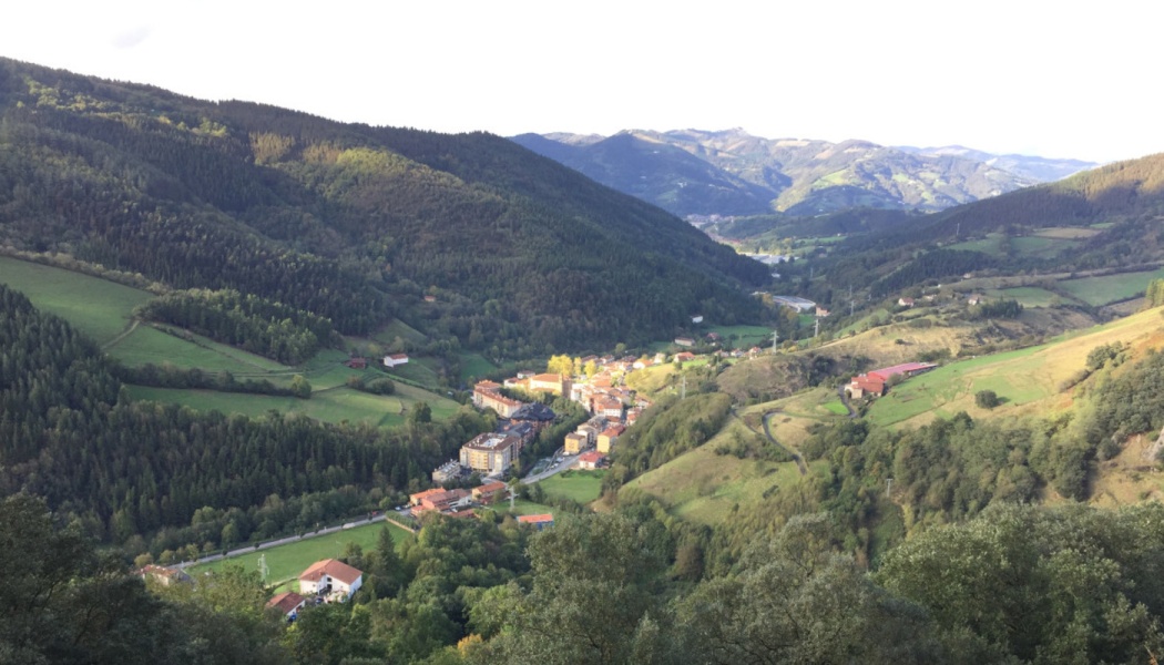 Scenic high-angle view of a small town nestled in a lush green valley surrounded by forested mountains.