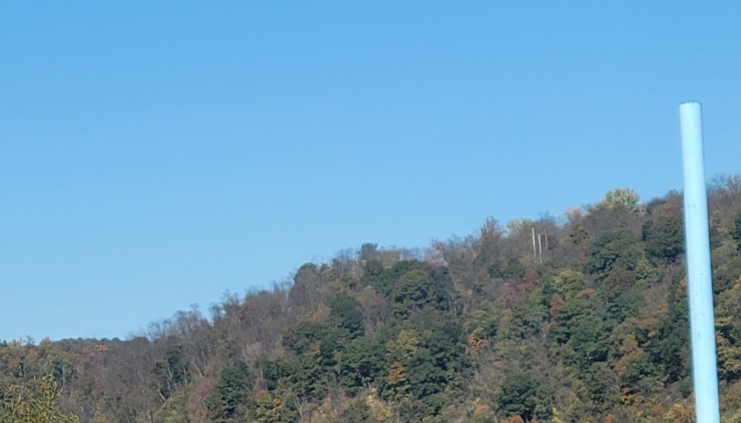 Dense tree-covered hillside under a clear blue sky with a vertical pale blue pipe on the right.