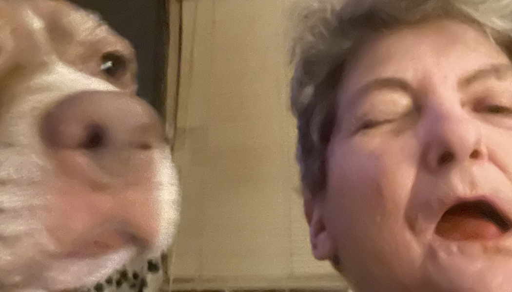 Low-angle close-up of a dog's snout next to an older woman with short grey hair looking down into the camera.