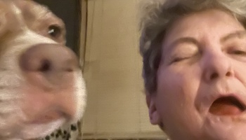 Low-angle close-up of a dog's snout next to an older woman with short grey hair looking down into the camera.