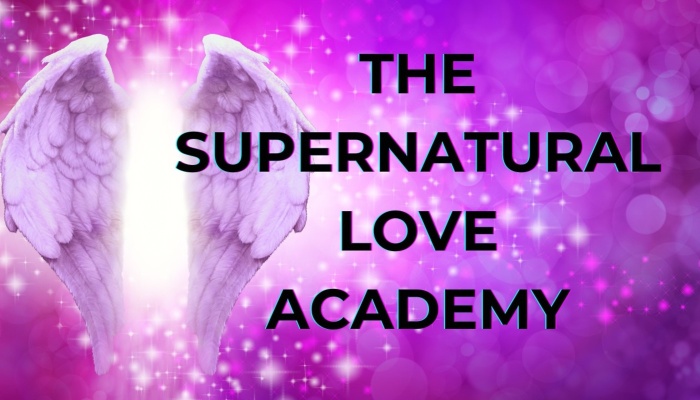Glowing angel wings beside text reading "The Supernatural Love Academy" on a sparkling purple background.