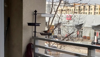 A small bird perched on a multi-tiered bird feeder mounted to an apartment balcony railing.