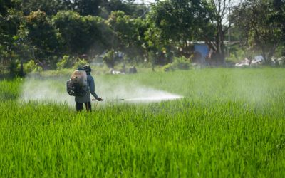 Glyphosate – The Secret Poisoning of America