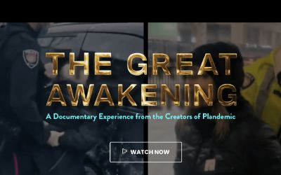 Plandemic 3 : The Great Awakening