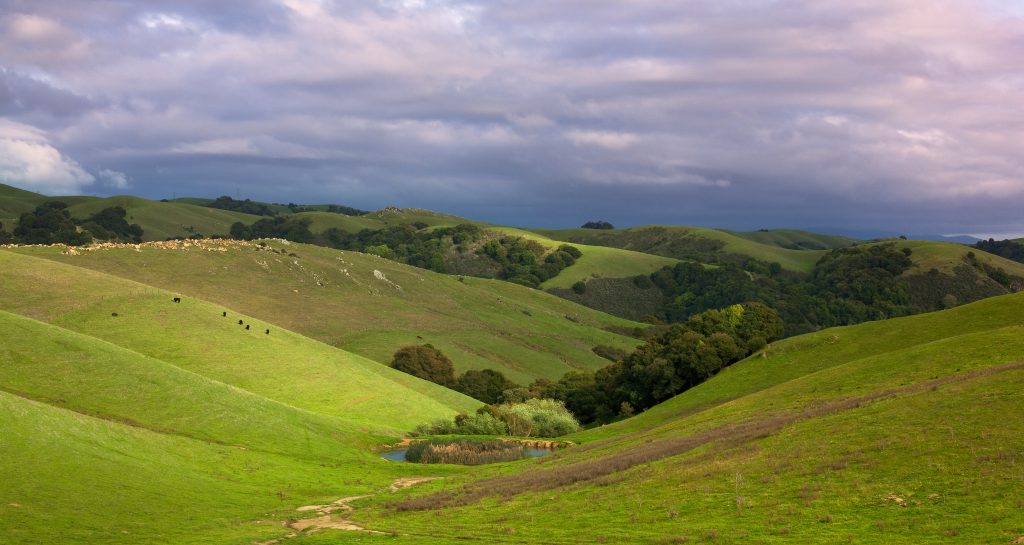 northern CA pastoral countryside hillside