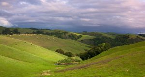 northern CA pastoral countryside hillside