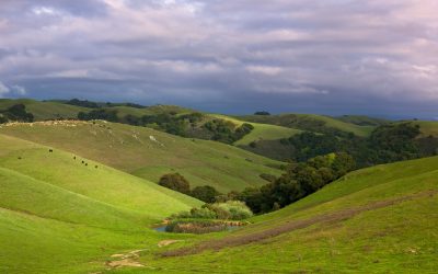 Billionaires Unveil Plans for 15-Minute City in California