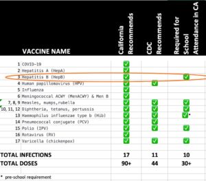 No studies proving safety and efficacy of hepatitis B vaccines at birth, 30 days, or 12 years of age