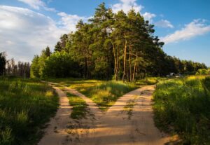 At the crossroads Fork Two roads