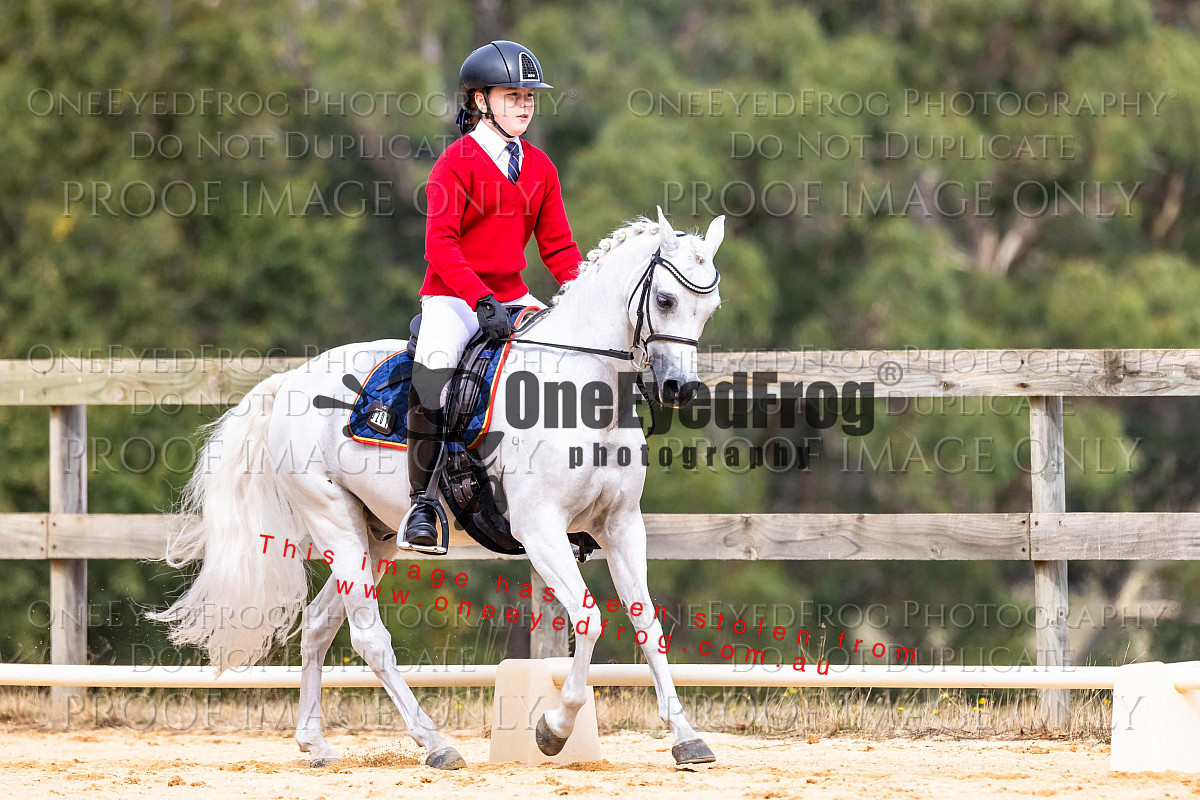 2023 LEADER EQUINE FARMWORLD EQUESTRIAN FESTIVAL Equestrian Event