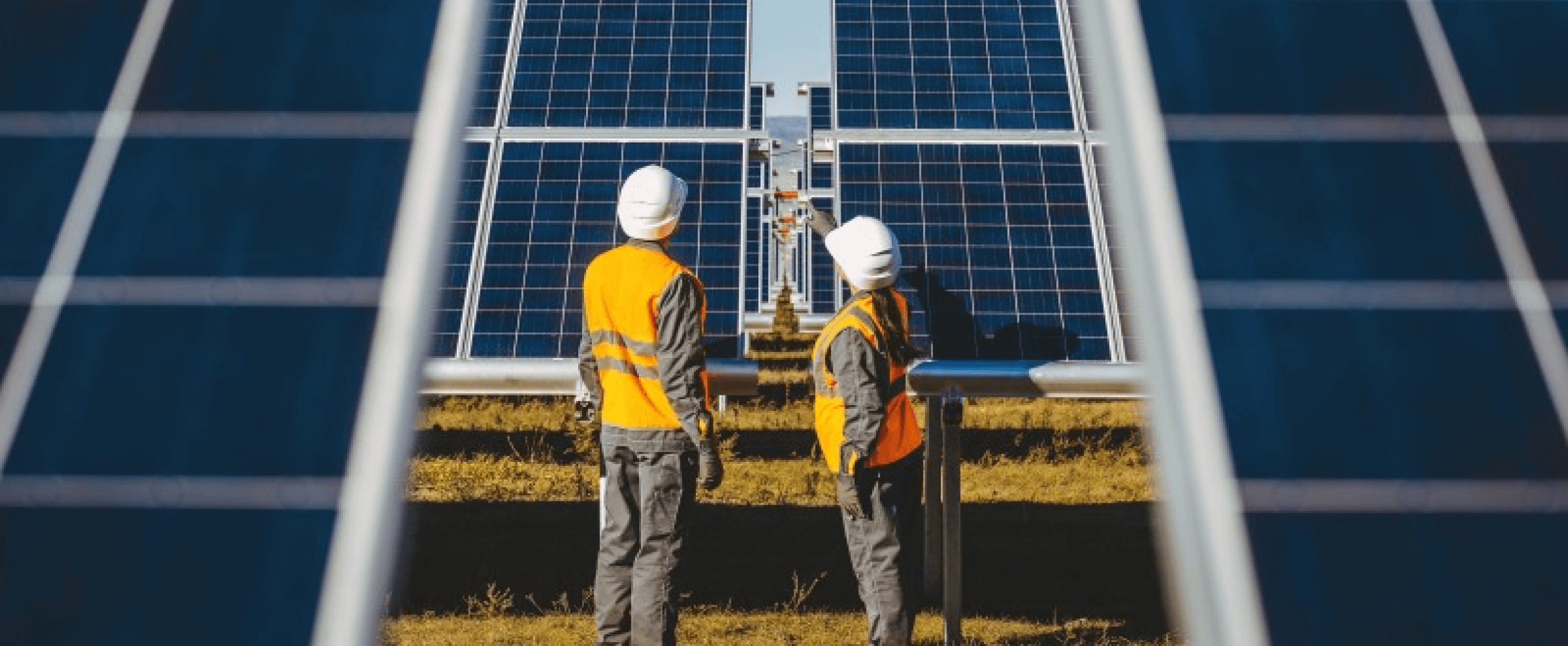 RE Royalties | Planet, profit and purpose