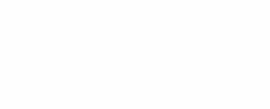 Blue Sky Financial logo