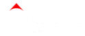 Top Flite Financial logo