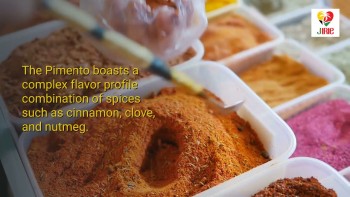 Jirie Jamaican Jerk Seasoning