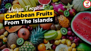Try These Unique Tropical Caribbean Fruits When Next In The Caribbean
