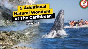 Bonaire, Jamaica, St. Lucia, Dominica, Tobago - 5 Additional Caribbean Wonders 1